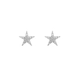 Star Ear Studs, Black with White Stones