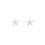 Star Ear Studs, Silver with White Stones